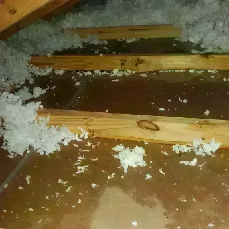 Attic Water Damage in Winnsboro, LA